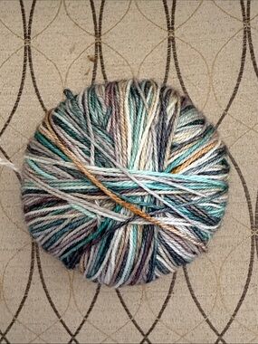 1 skein of Manos de Uruguay “Alegria” sock yarn